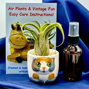 Mini CAT Planter Air Plant Set - Spanish Moss Fine Mist Sprayer FREE Air Plant